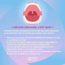 Conseils orthodontie