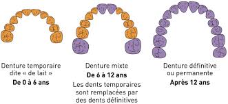 Prévention enfant dents